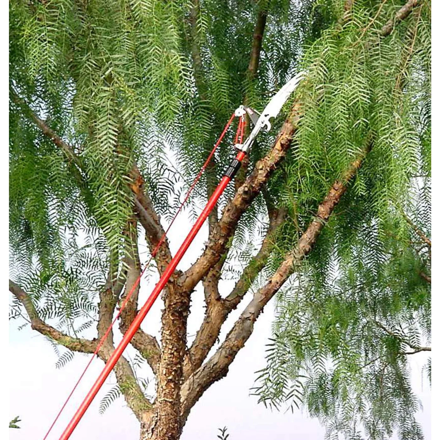 Corona TP 3841 12-foot Compound-Action Tree Pruner, manufacturer gallery view 2