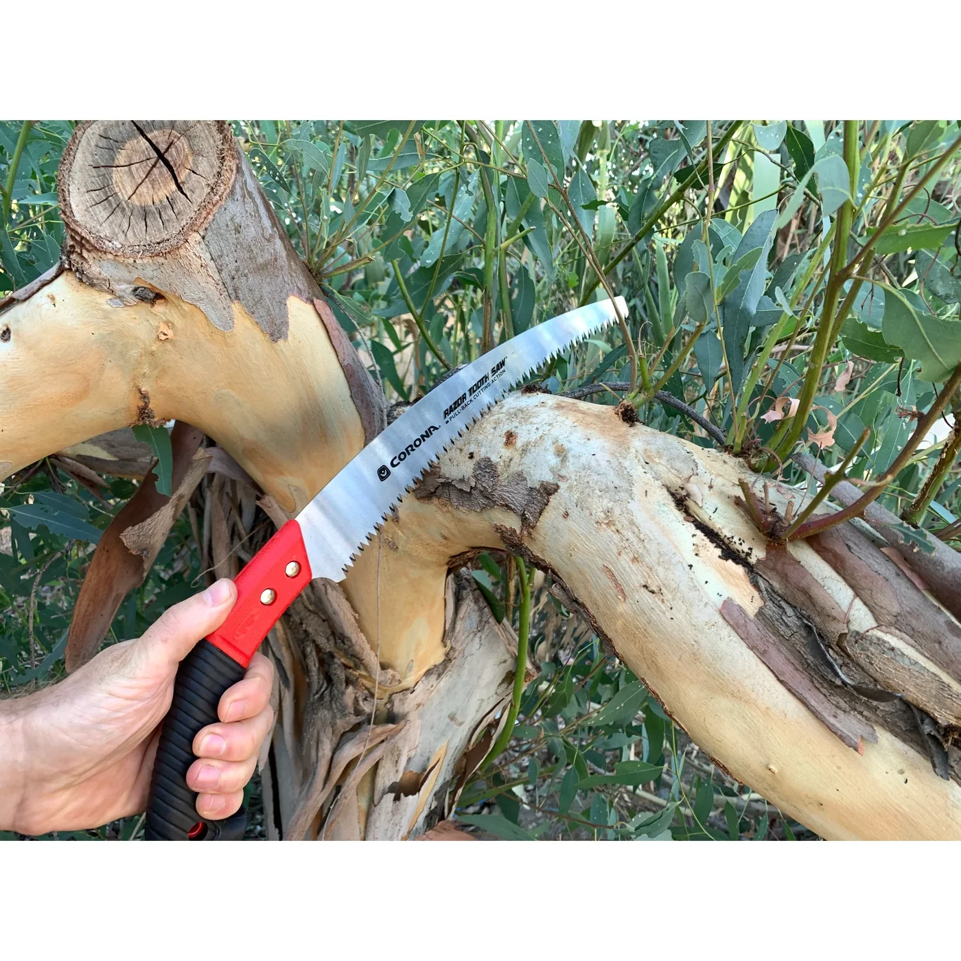 Corona RS 7120 13-inch Arborist Pruning Saw, manufacturer gallery view 3