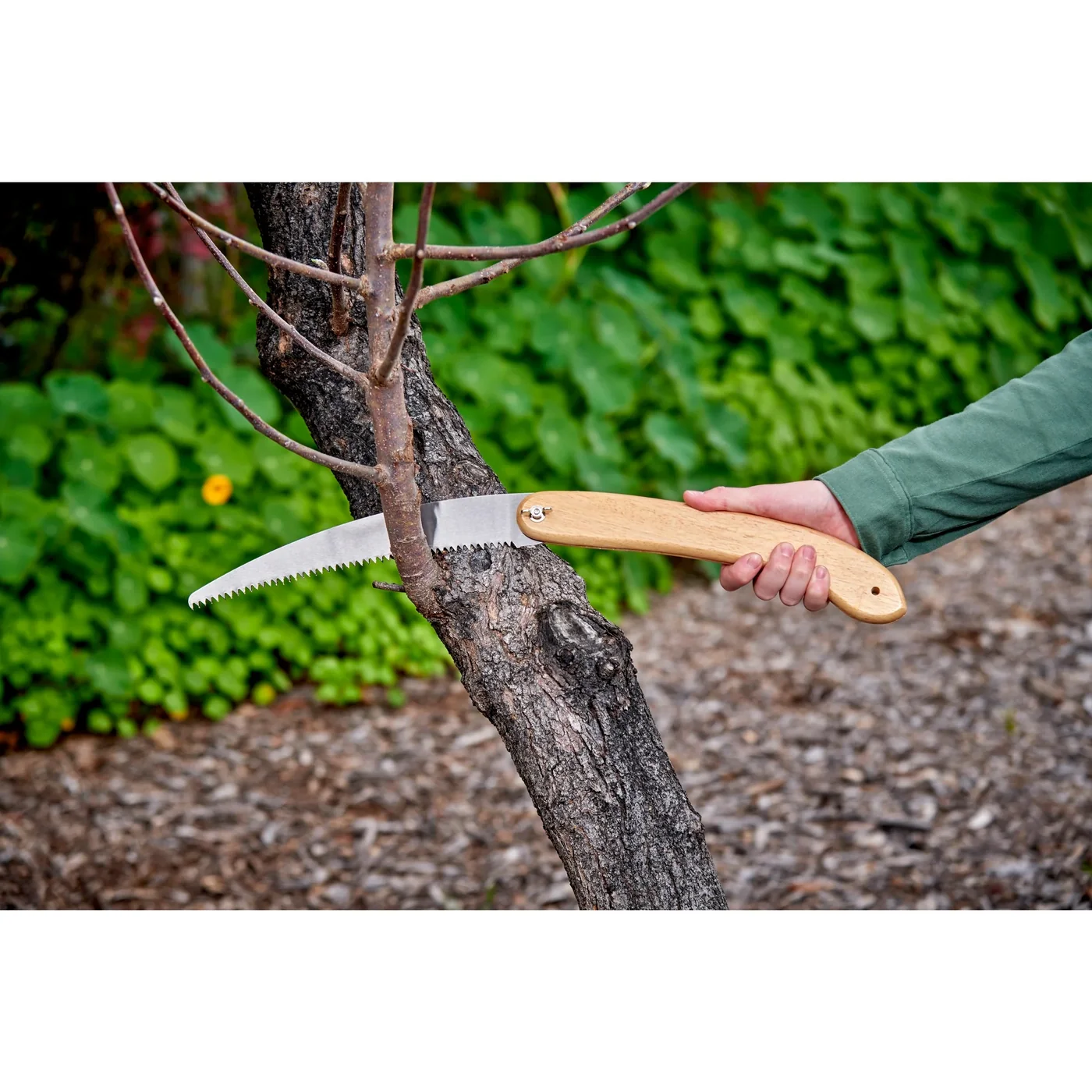 Corona PS 4050 10.5-inch Wood-Handle Folding Saw, manufacturer gallery view 2