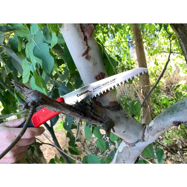 Corona RS 7041 7-inch Folding Pruning Saw, manufacturer gallery view 2