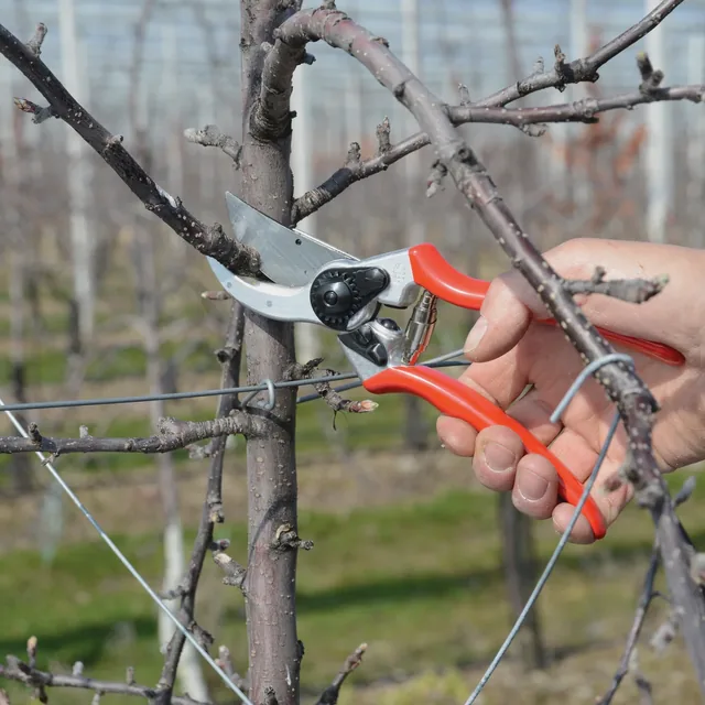 FELCO 2 bypass pruning shears, product gallery view 4