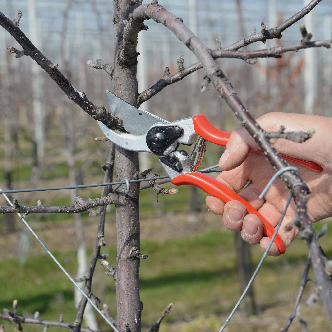 FELCO 2 bypass pruning shears, product gallery view 4