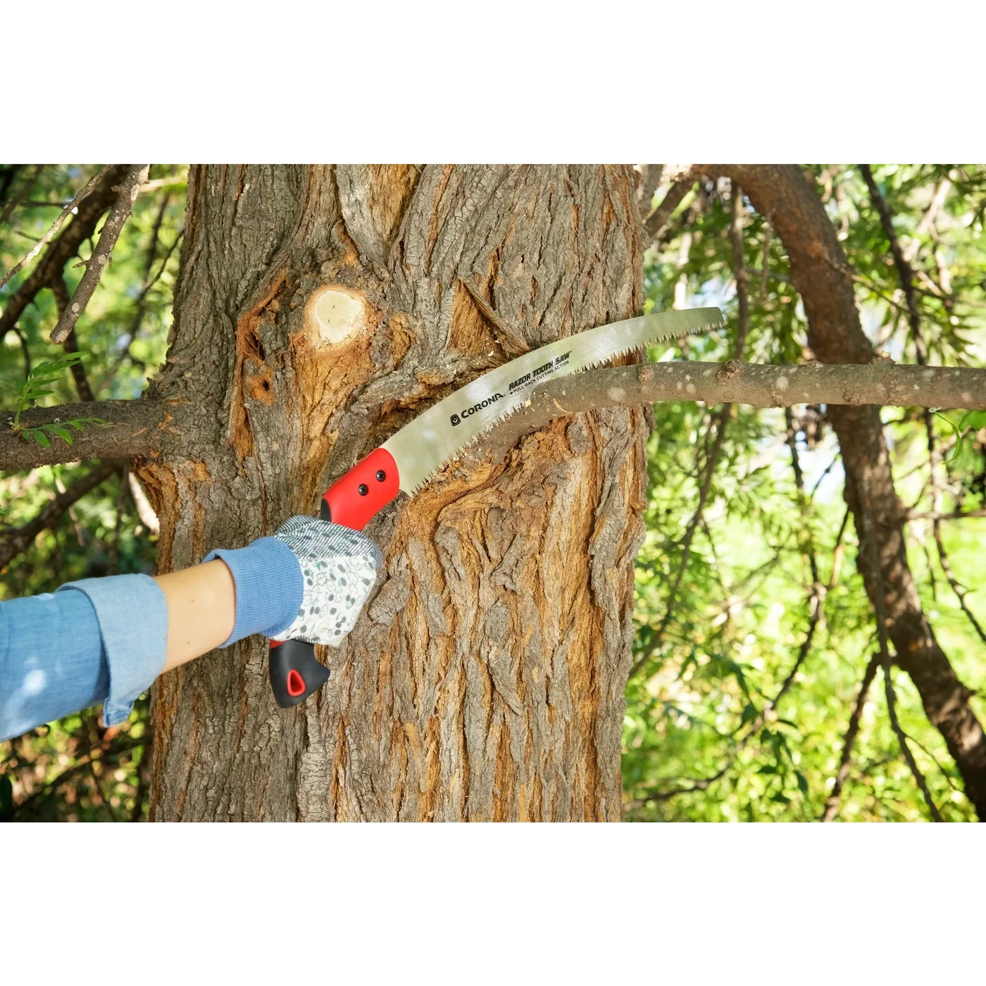 Corona RS 7395 14-inch RazorTOOTH Pruning Saw, manufacturer gallery view 2
