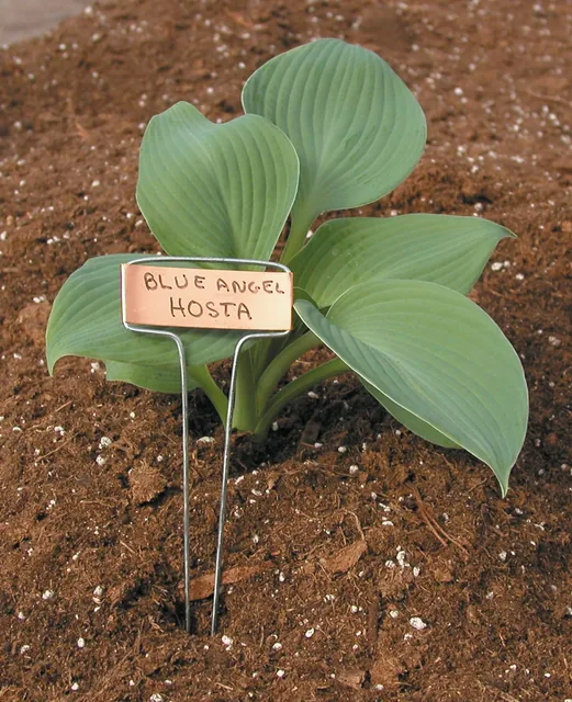 Luster Leaf Classic Impressions copper labels manufacturer product view 2