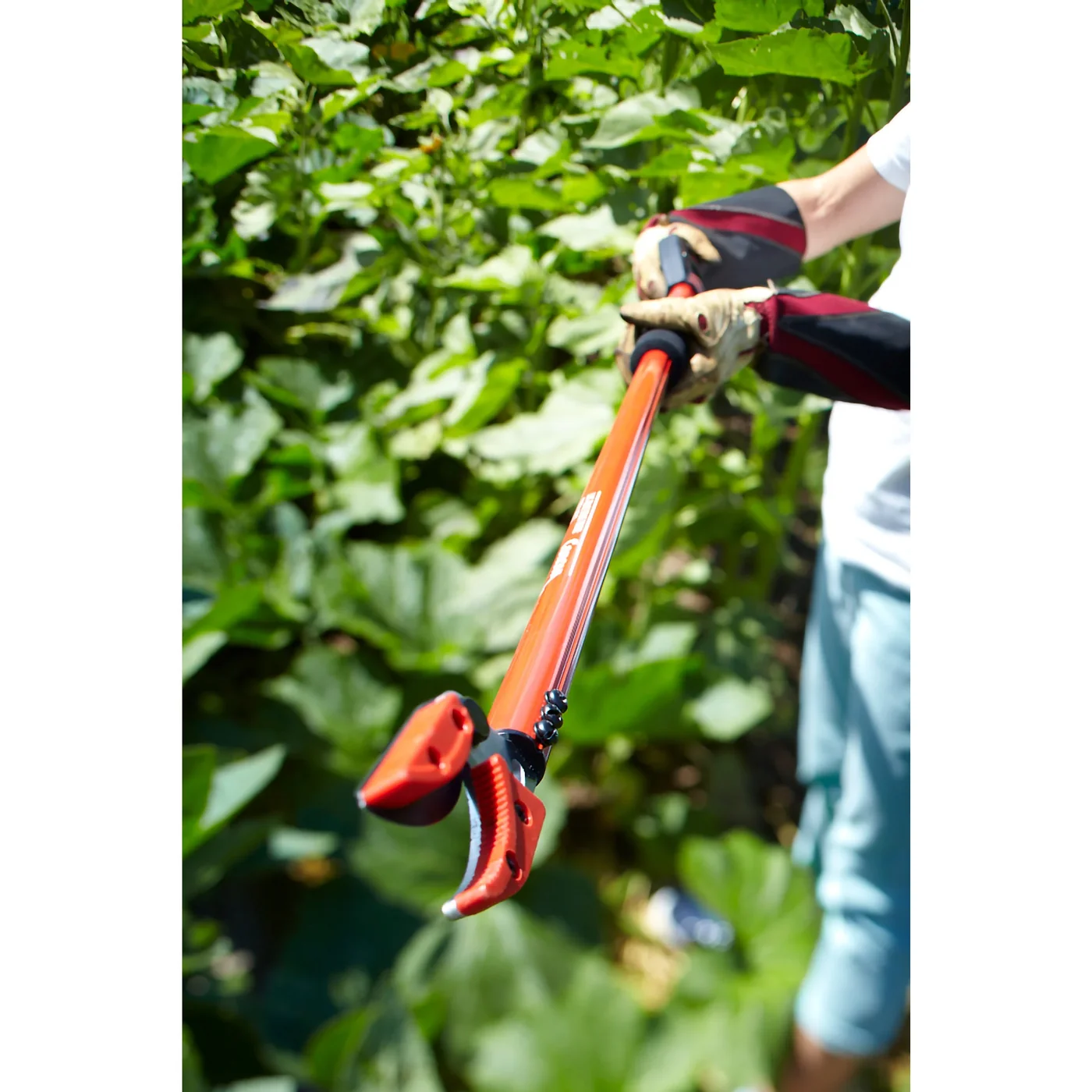 Corona LR 3460 Cut 'n' Hold Long-Reach Pruner, manufacturer gallery view 3