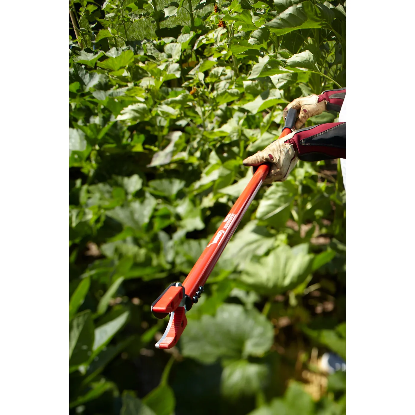 Corona LR 3460 Cut 'n' Hold Long-Reach Pruner, manufacturer gallery view 2