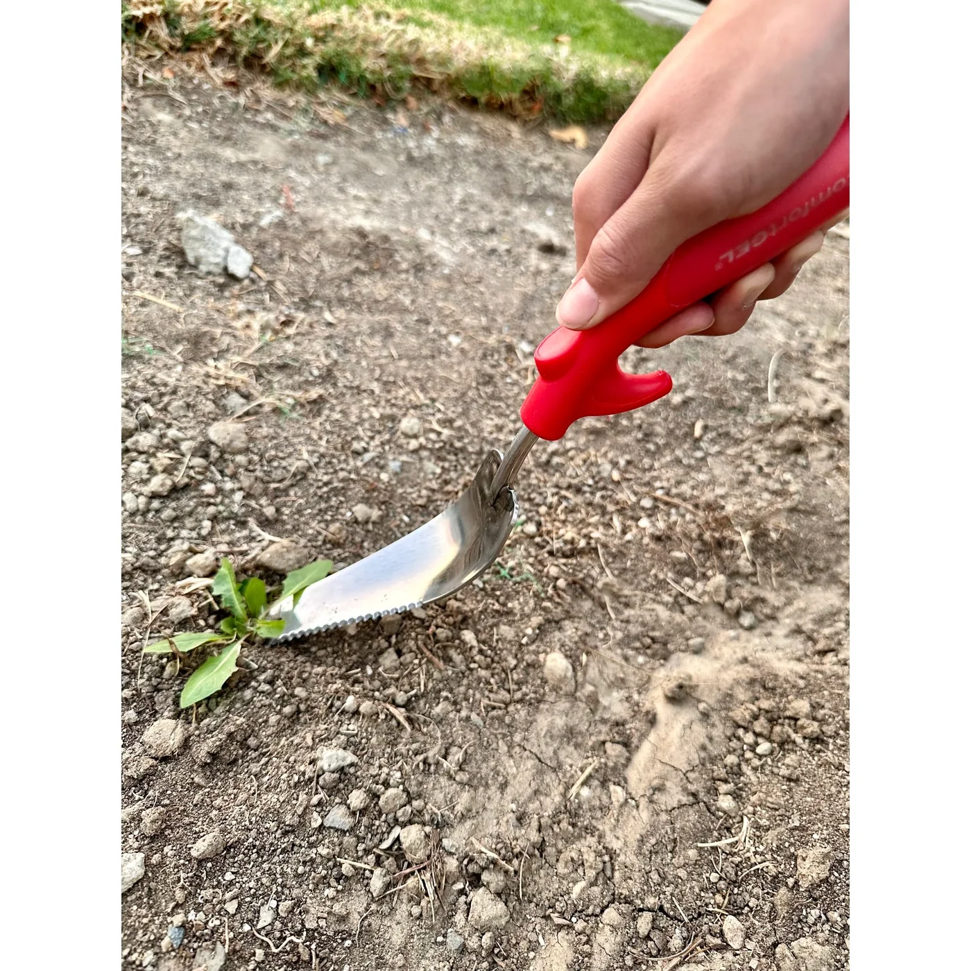 Corona CT 3254 ComfortGEL Hand Weeder, manufacturer gallery view 2