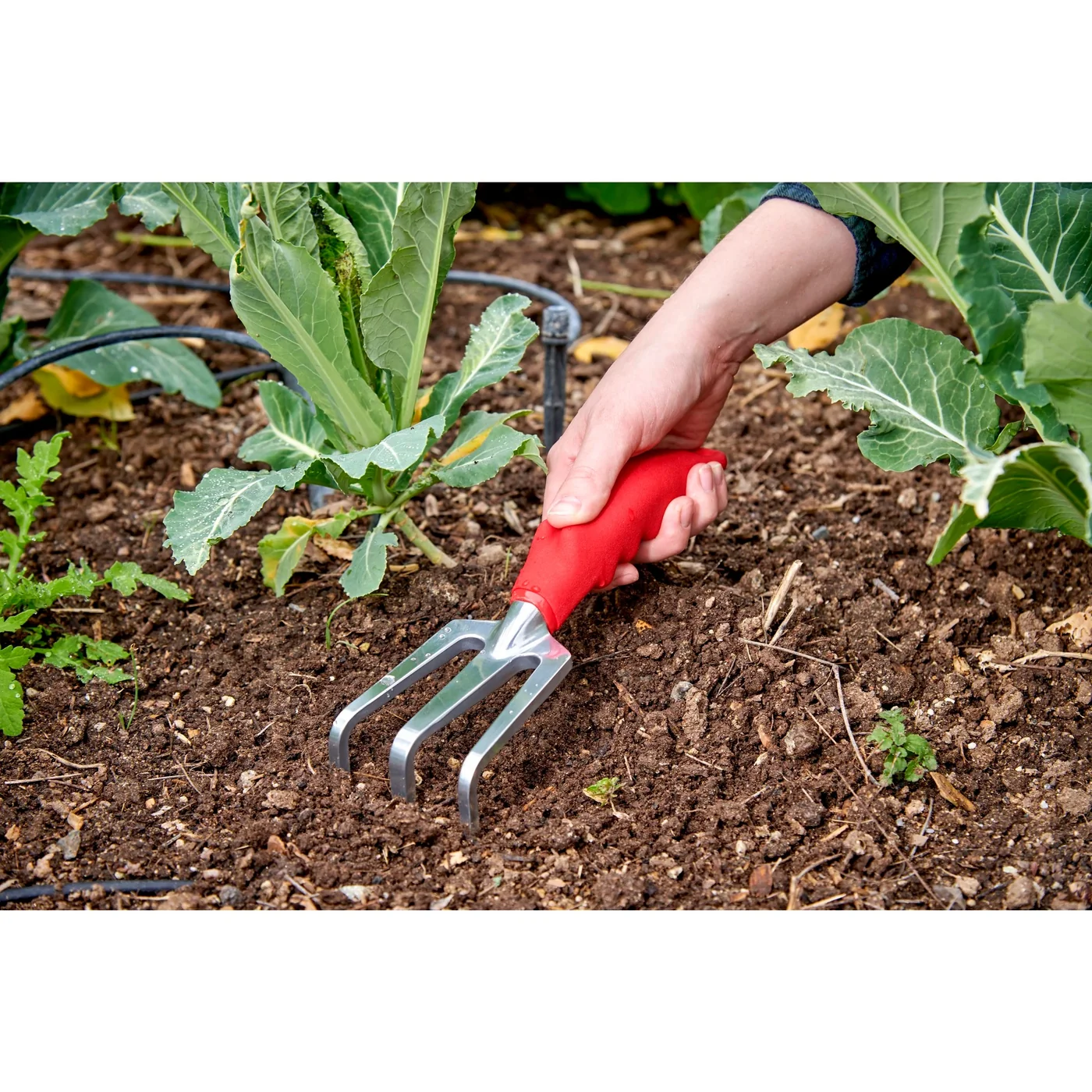 Corona CT 3030I Three-Tine Hand Cultivator, manufacturer gallery view 3