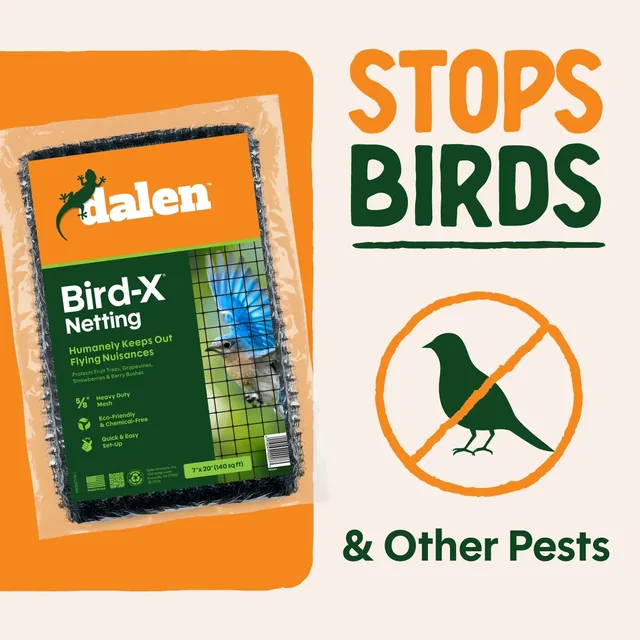 Dalen Bird-X netting, 14 × 14 feet manufacturer product view 2