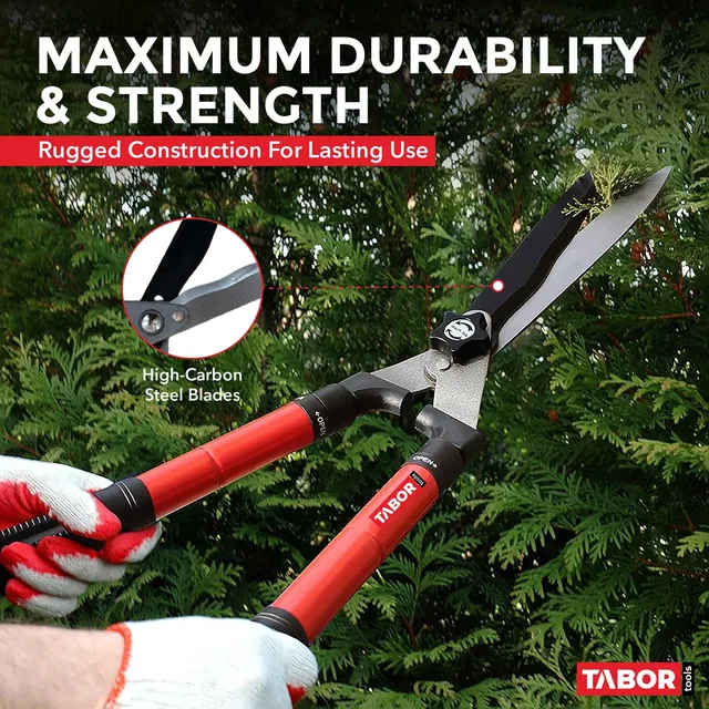 TABOR TOOLS B212A telescopic hedge shears, product gallery view 4