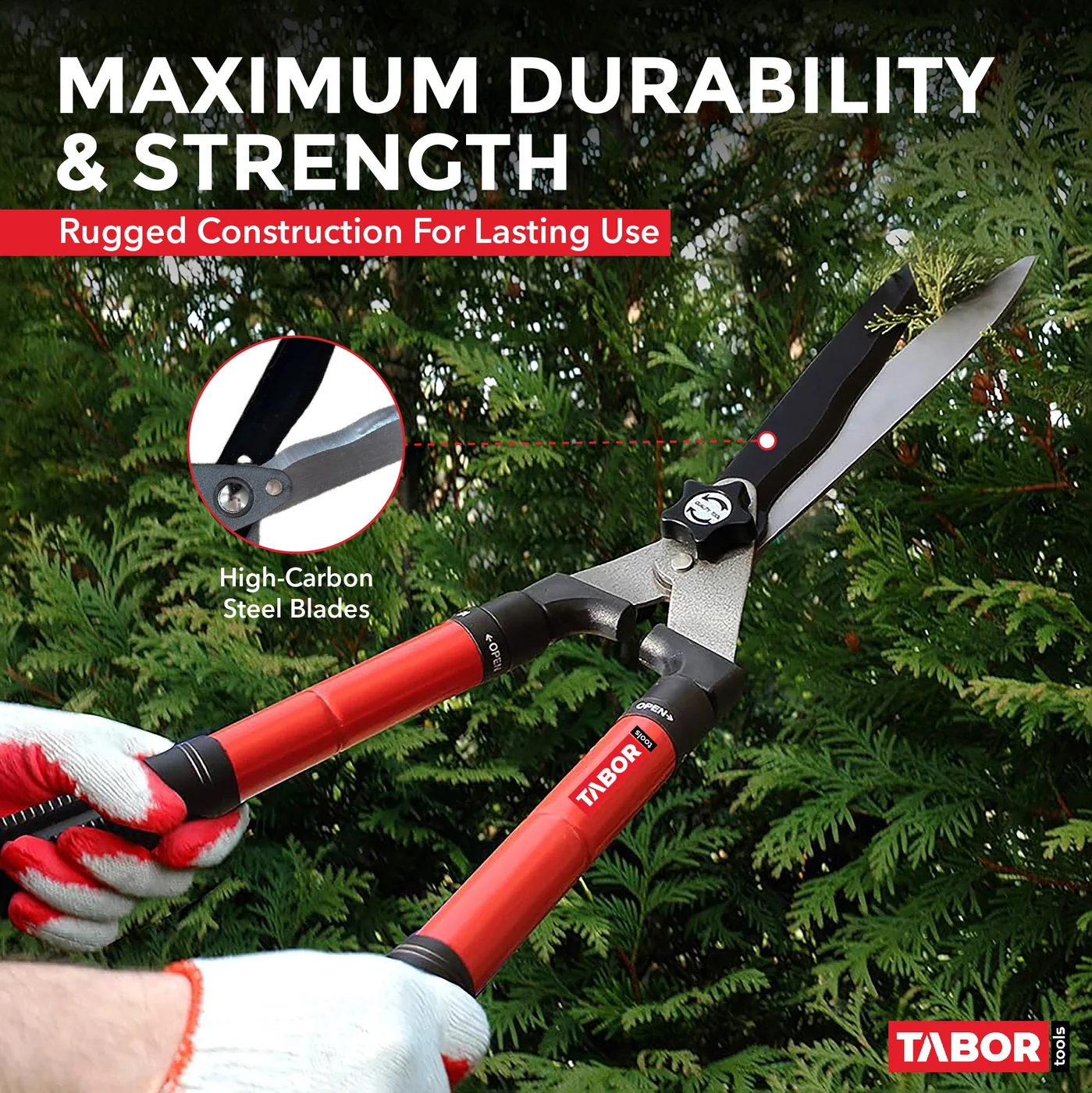 TABOR TOOLS B212A telescopic hedge shears, product gallery view 4