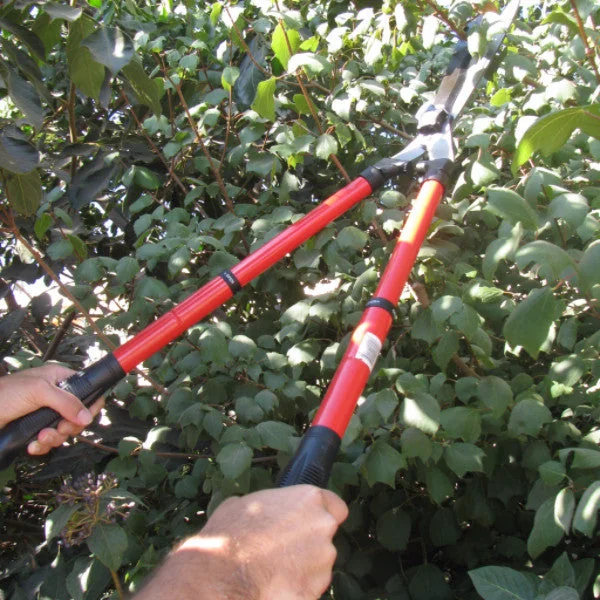 TABOR TOOLS B212A telescopic hedge shears, product gallery view 8