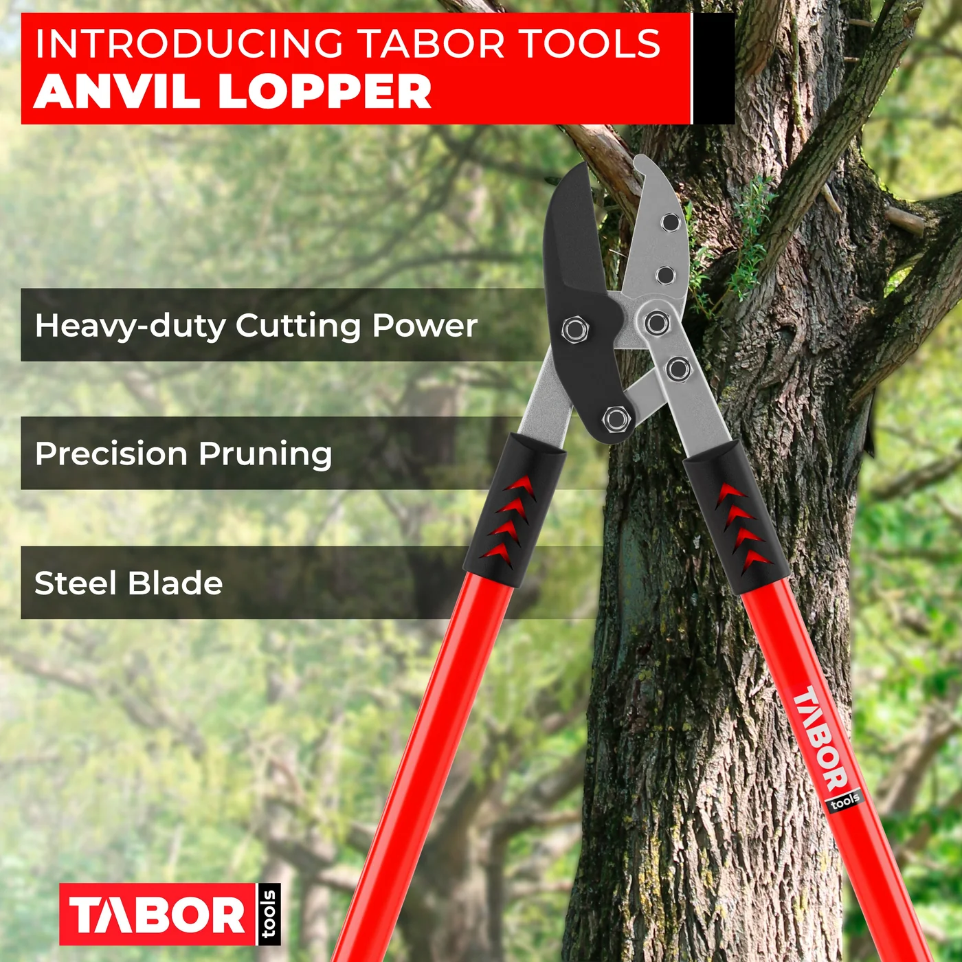 TABOR TOOLS GG12A 30-inch anvil lopper, product view 3