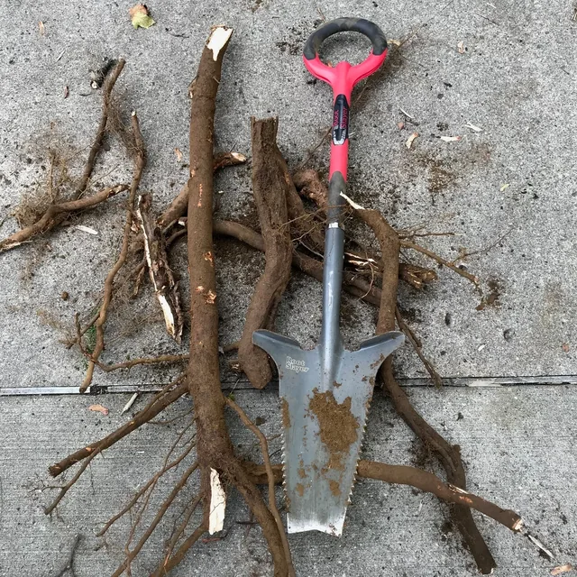 Root Slayer 22011 serrated garden shovel, product view 1