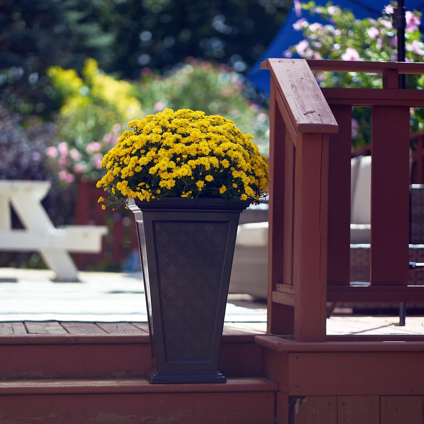 FCMP Casablanca self-watering planters, black two-pack manufacturer product view 3