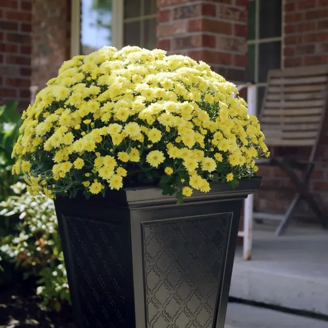 FCMP Casablanca self-watering planters, black two-pack manufacturer product view 2