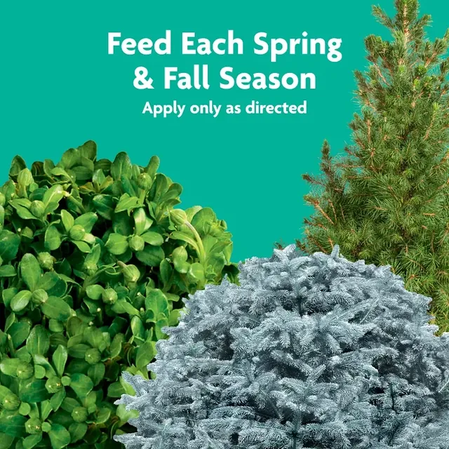 Miracle-Gro Tree & Shrub Plant Food Spikes, 12 count, product view 4