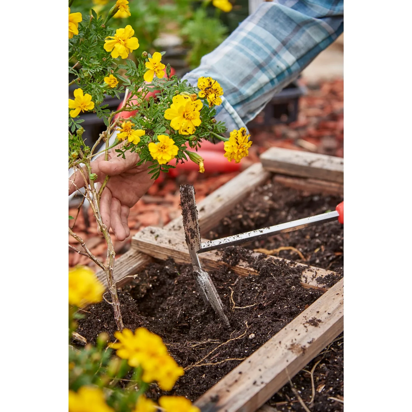 Corona CT 3344 ComfortGEL Hand Hoe/Cultivator, manufacturer gallery view 2