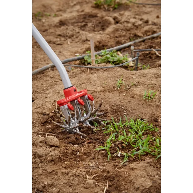 Corona LG 3634 DiscCULTIVATOR, manufacturer gallery view 3