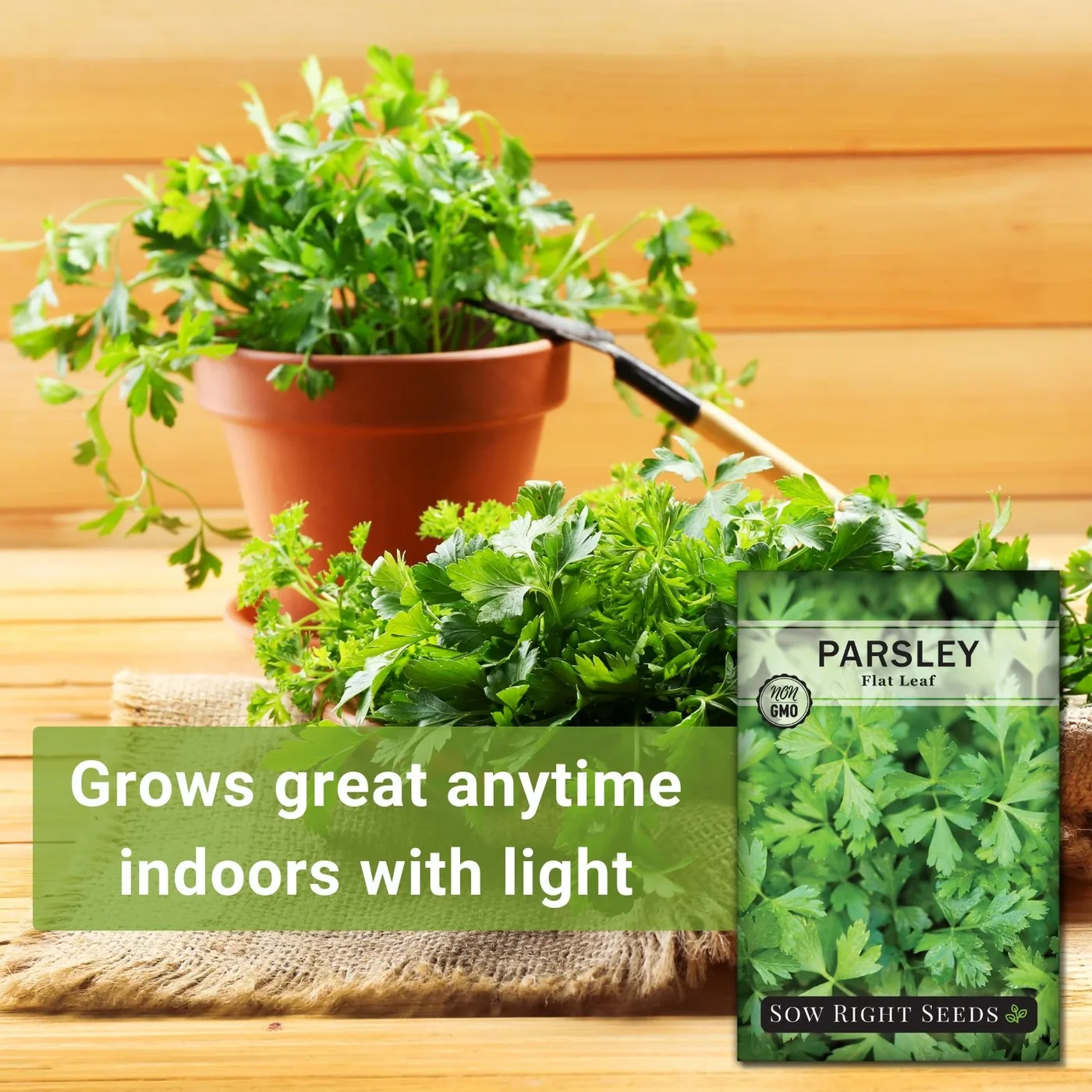 Sow Right Seeds Flat-leaf Italian parsley manufacturer product view 2