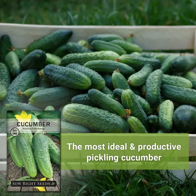 Sow Right Seeds National Pickling cucumber manufacturer product view 2