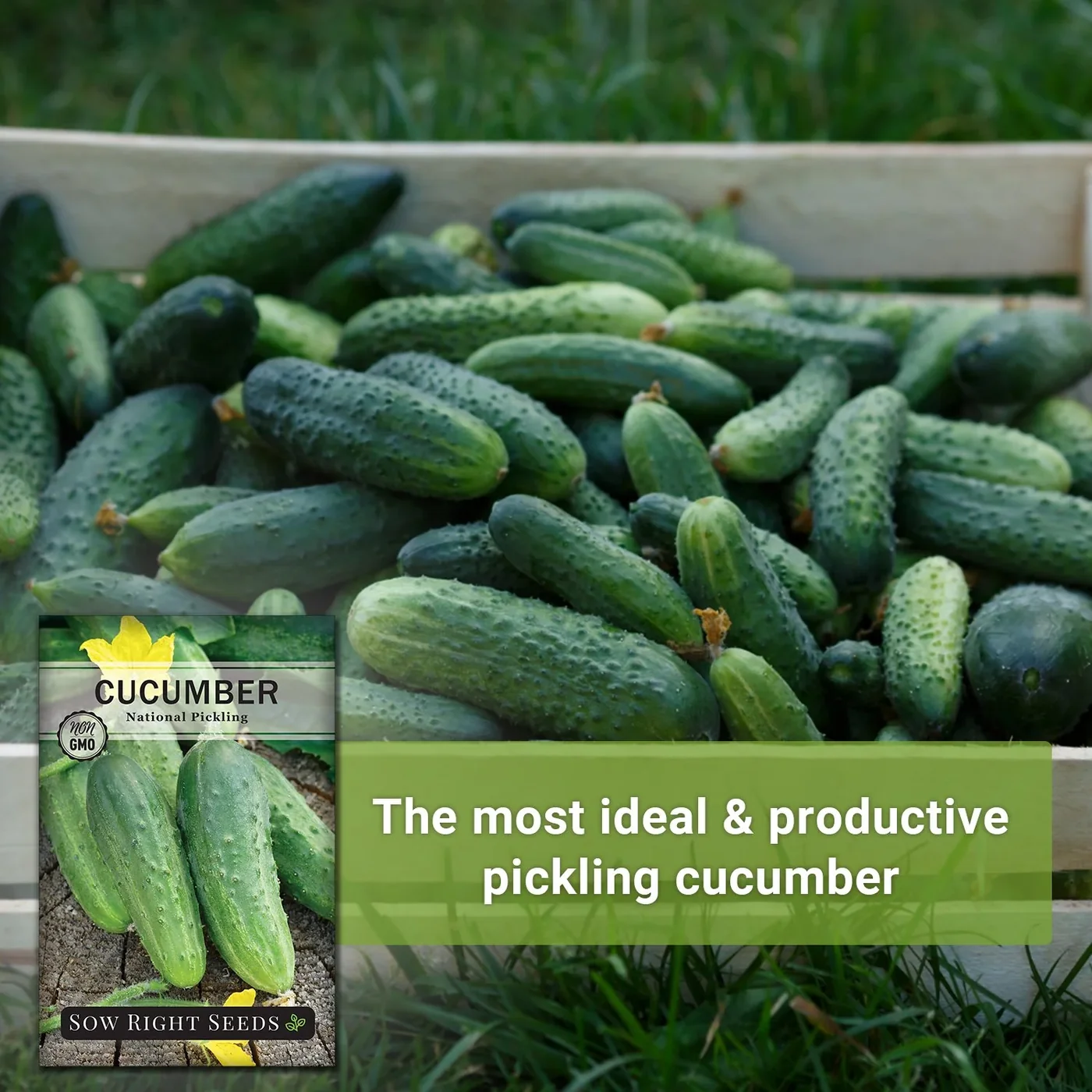 Sow Right Seeds National Pickling cucumber manufacturer product view 2