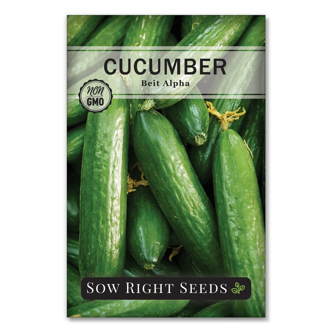 Sow Right Seeds Beit Alpha cucumber manufacturer product view 1
