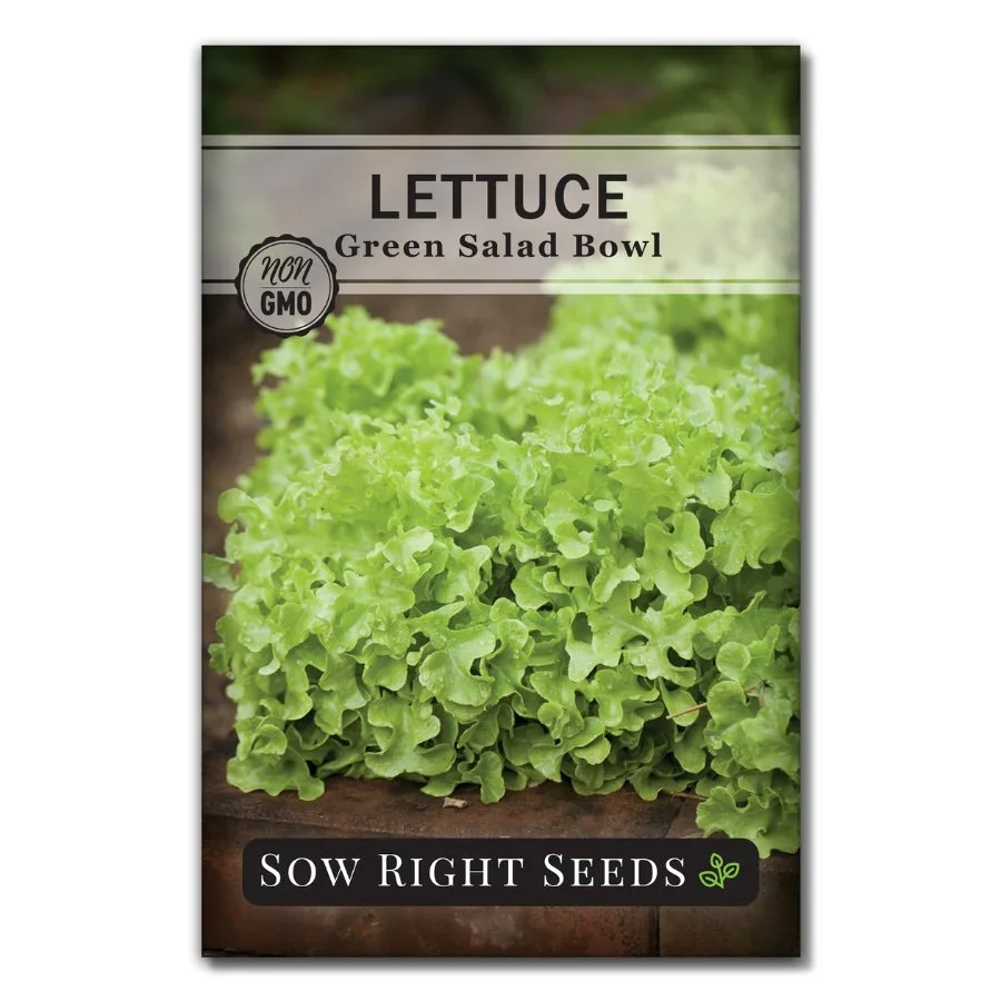 Sow Right Seeds Green Salad Bowl lettuce manufacturer product view 1