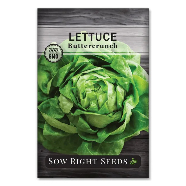 Sow Right Seeds Buttercrunch lettuce manufacturer product view 1