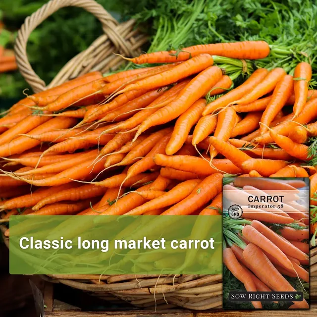 Sow Right Seeds Imperator 58 carrot manufacturer product view 2