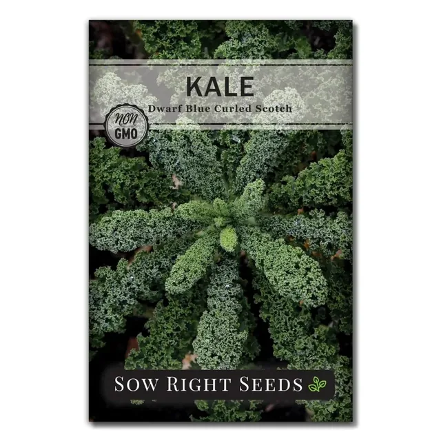 Sow Right Seeds Dwarf Blue Curled Scotch kale manufacturer product view 1