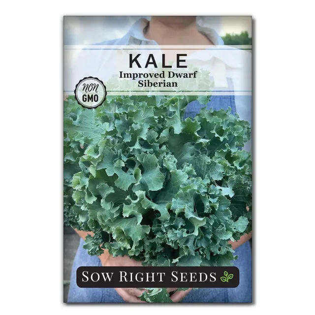 Sow Right Seeds Dwarf Siberian Improved kale manufacturer product view 1