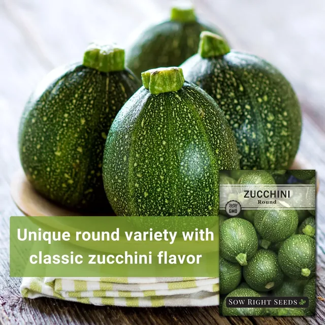 Sow Right Seeds Round zucchini manufacturer product view 2