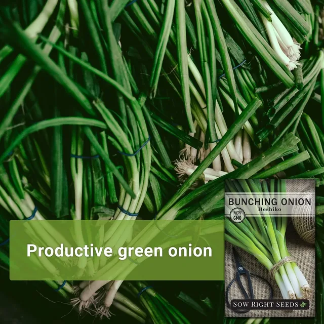 Sow Right Seeds Heshiko Japanese bunching onion manufacturer product view 2