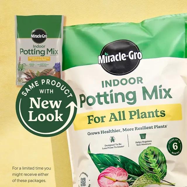 Miracle-Gro Indoor Potting Mix for All Plants, 6-quart bag from the two-pack, gallery view 3