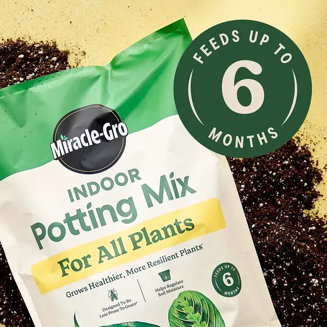 Miracle-Gro Indoor Potting Mix for All Plants, 6-quart bag from the two-pack, gallery view 4
