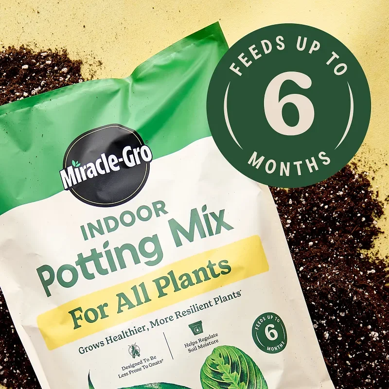 Miracle-Gro Indoor Potting Mix for All Plants, 6-quart bag from the two-pack, gallery view 4