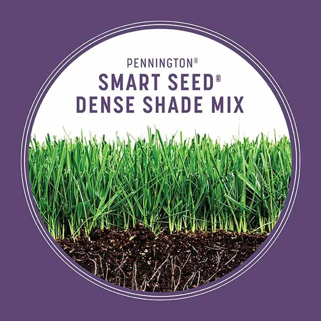 Pennington Smart Seed Dense Shade mix, 7 lb., product view 2