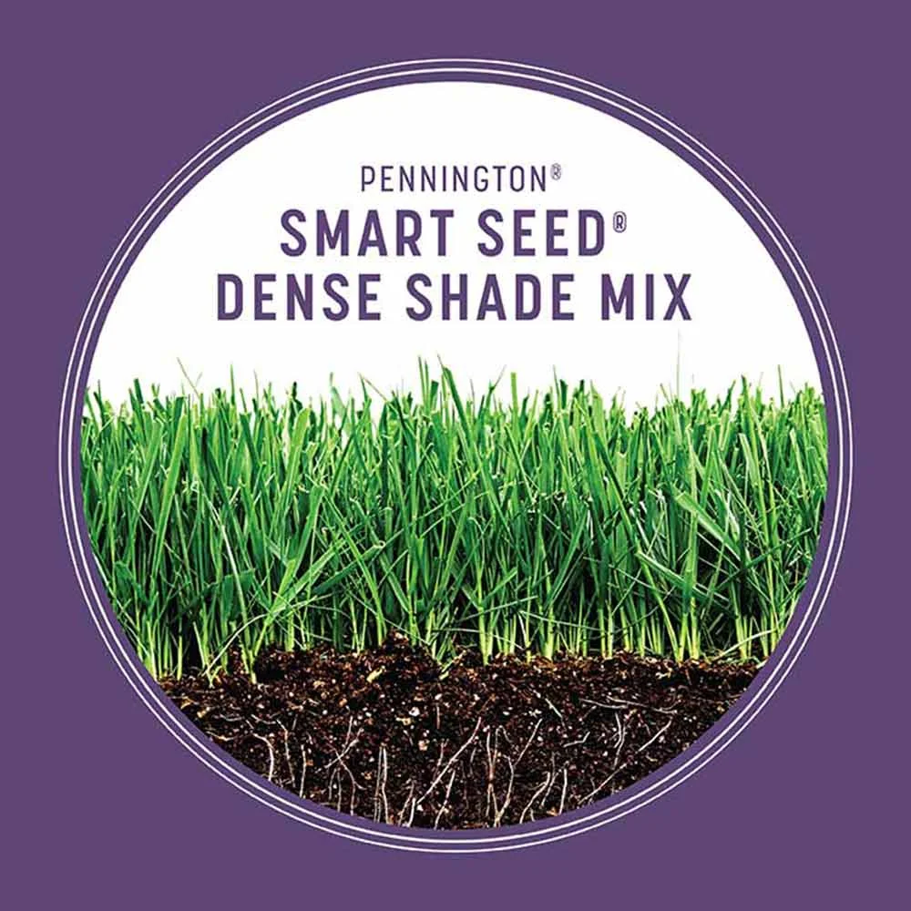 Pennington Smart Seed Dense Shade mix, 7 lb., product view 2