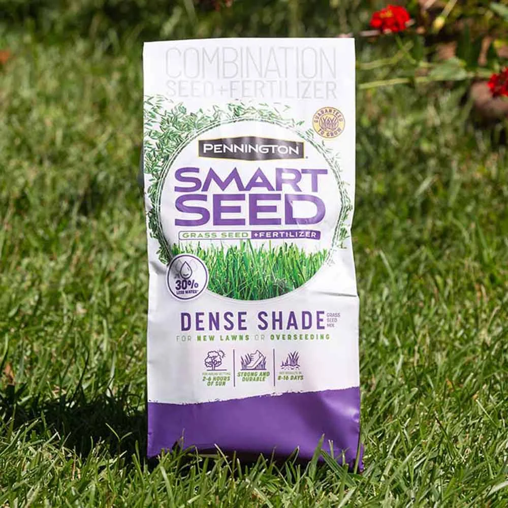 Pennington Smart Seed Dense Shade mix, 7 lb., product view 7