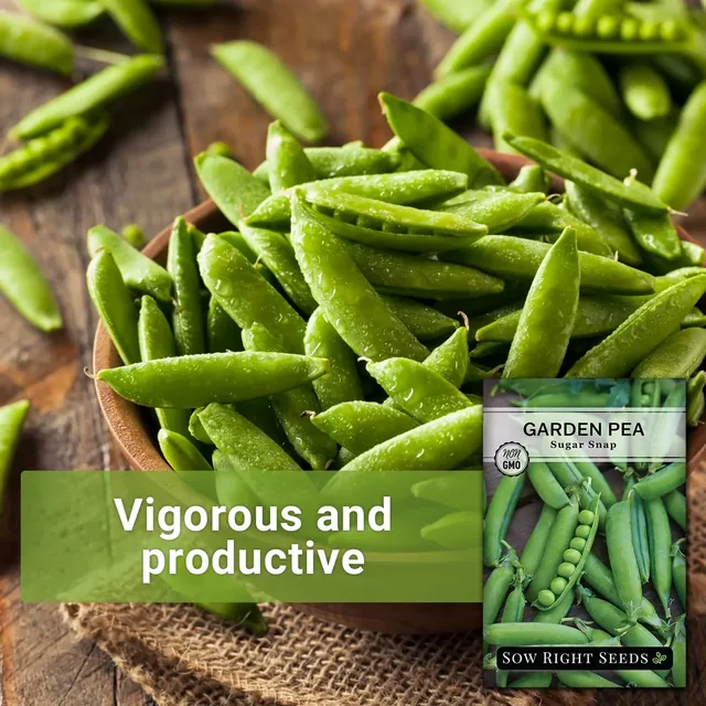 Sow Right Seeds Sugar Snap pea manufacturer product view 2