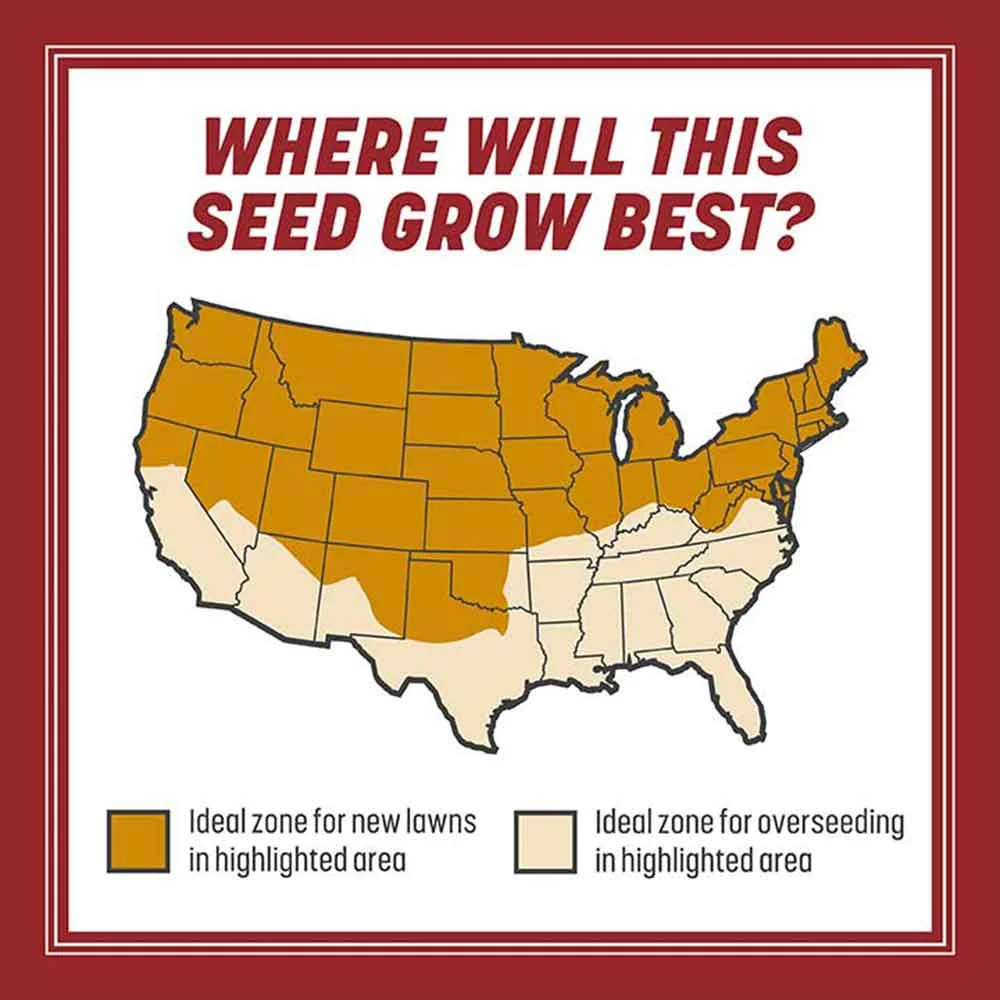 Pennington Smart Seed Perennial Ryegrass, 3 lb., product view 7