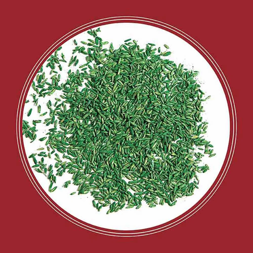 Pennington Smart Seed Perennial Ryegrass, 3 lb., product view 5