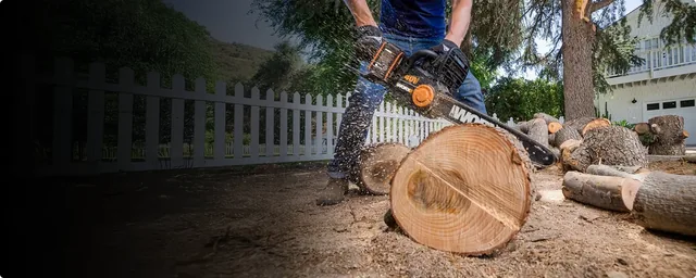 WORX WG385 chainsaw, manufacturer gallery view 5