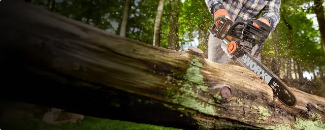 WORX WG385 chainsaw