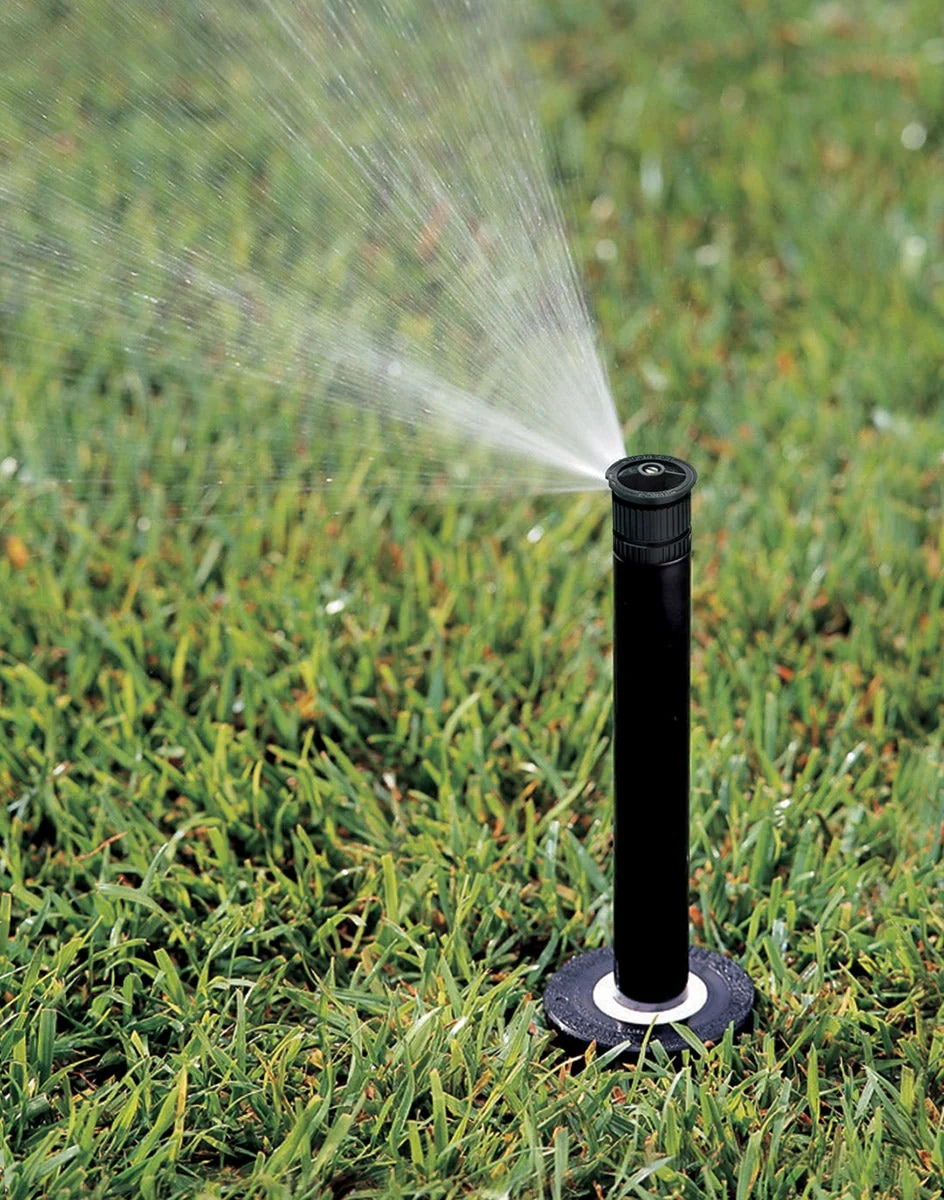 Rain Bird 1806APPRS six-inch pop-up sprinkler, detail or garden-use view 3