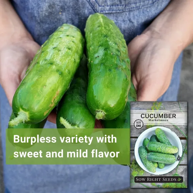 Sow Right Seeds Marketmore cucumber manufacturer product view 2