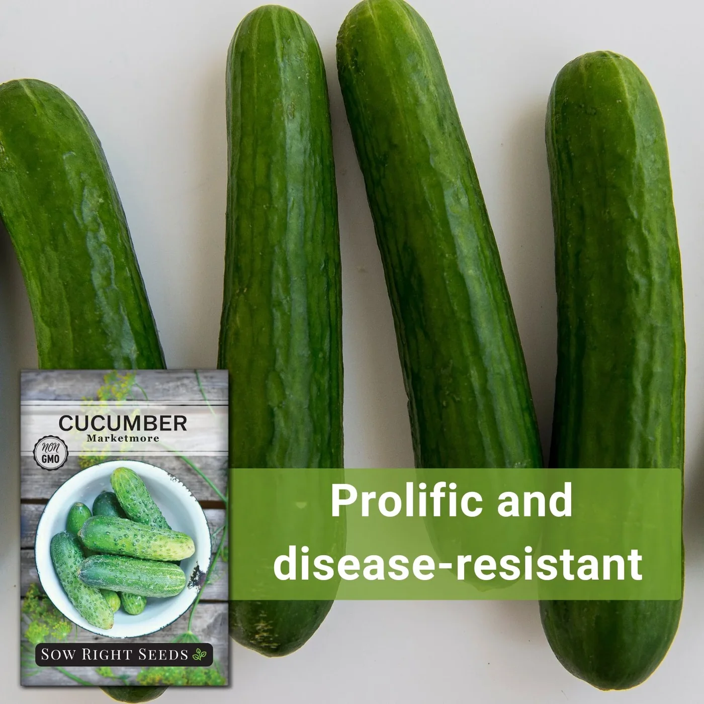 Sow Right Seeds Marketmore cucumber manufacturer product view 4