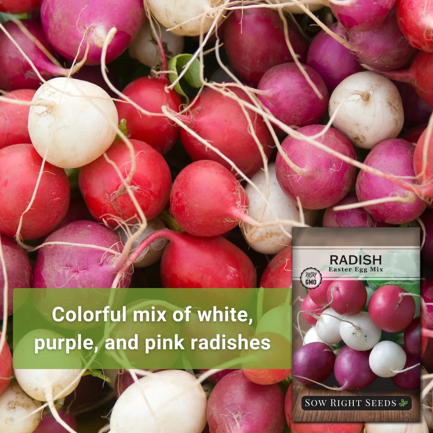 Sow Right Seeds Easter Egg radish mix manufacturer product view 2