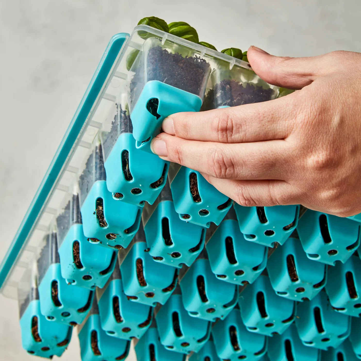 36 Cell SuperSeed Seed Starting Tray